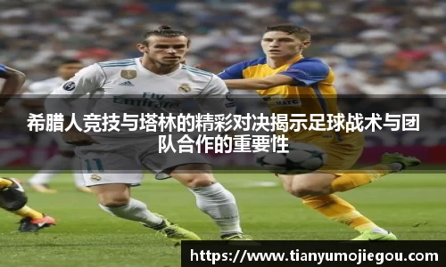 oety欧亿app下载